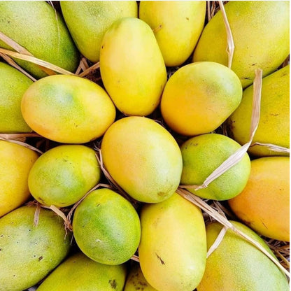 Rasalu mangoes