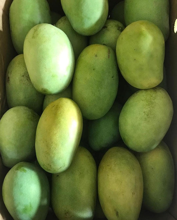 Rasalu mangoes