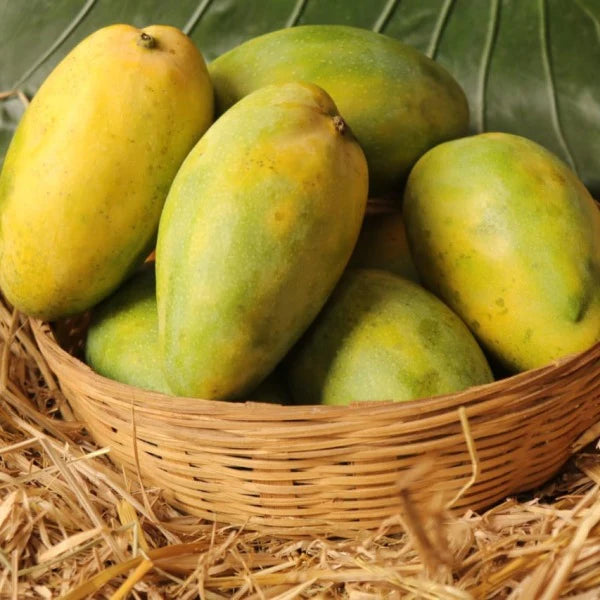 Himayat mangoes