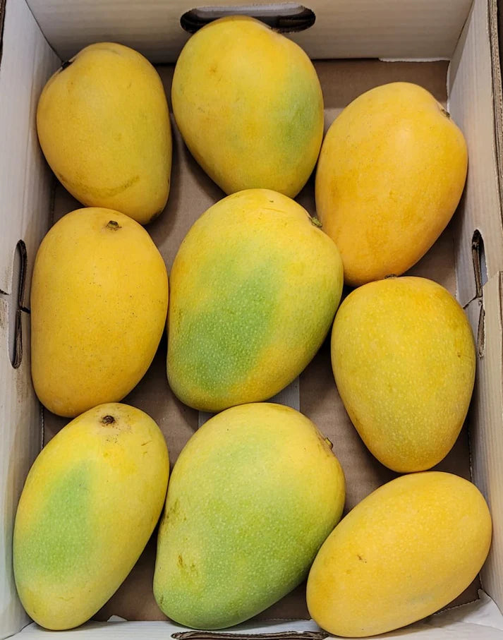 Banganapalli mango